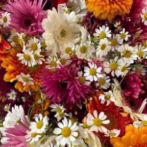 935faf0a603828662640c345d204bced