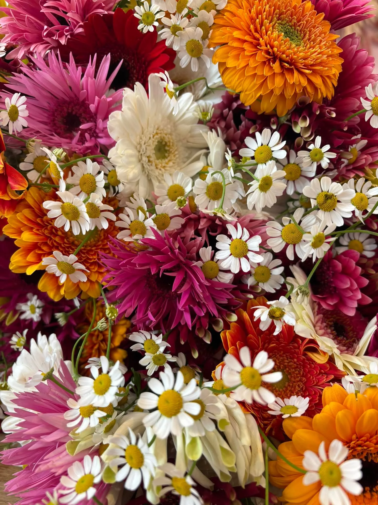 935faf0a603828662640c345d204bced