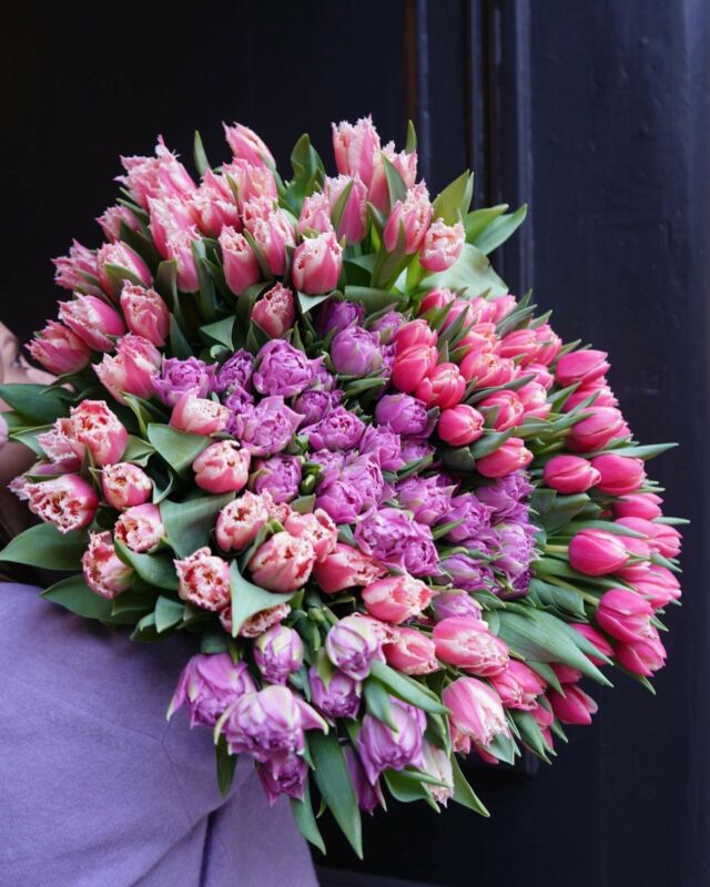 | Tulipes à gogo 💜

C’est la semaine de la tulipe chez Paloma 🌷

À la botte ou en bouquet, il y en aura pour tous les goûts 🙃